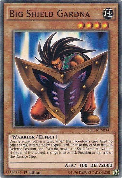 Big Shield Gardna
