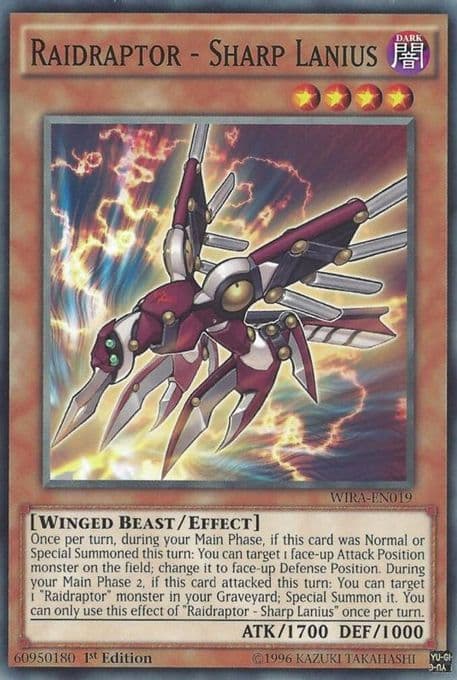 Raidraptor - Sharp Lanius
