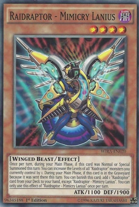 Raidraptor - Mimicry Lanius