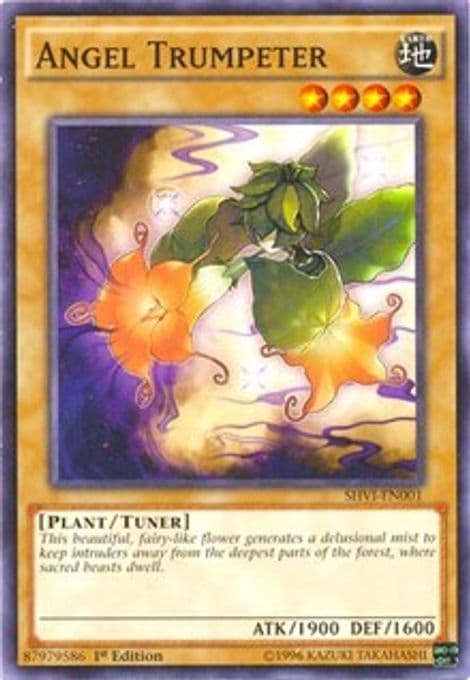 Angel Trumpeter
