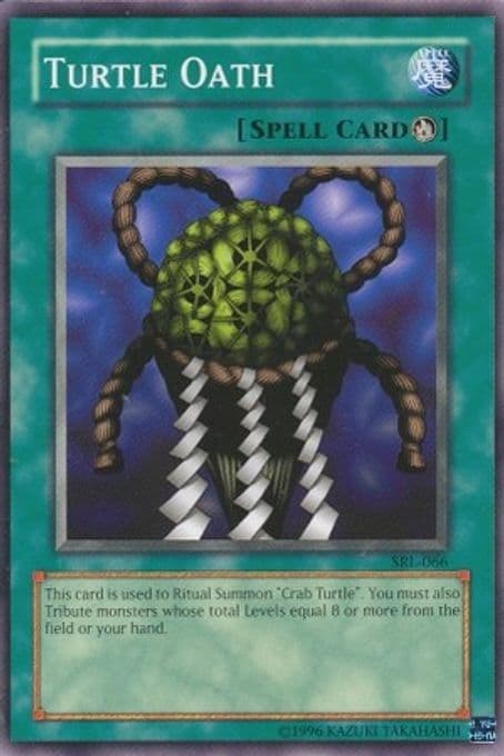Turtle Oath