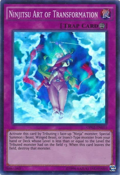 Ninjitsu Art of Transformation