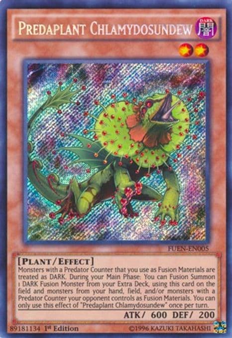 Predaplant Chlamydosundew
