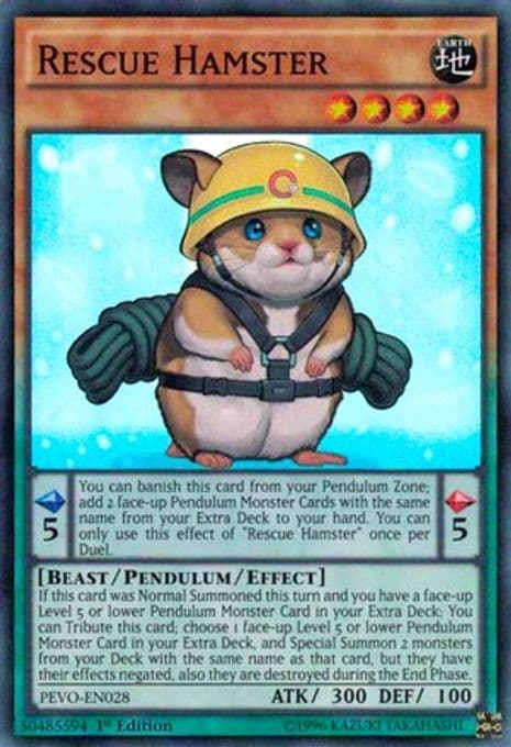 Rescue Hamster