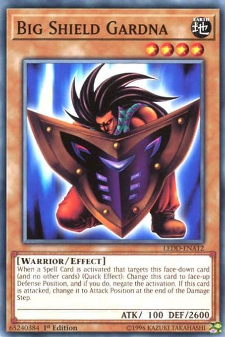 Big Shield Gardna