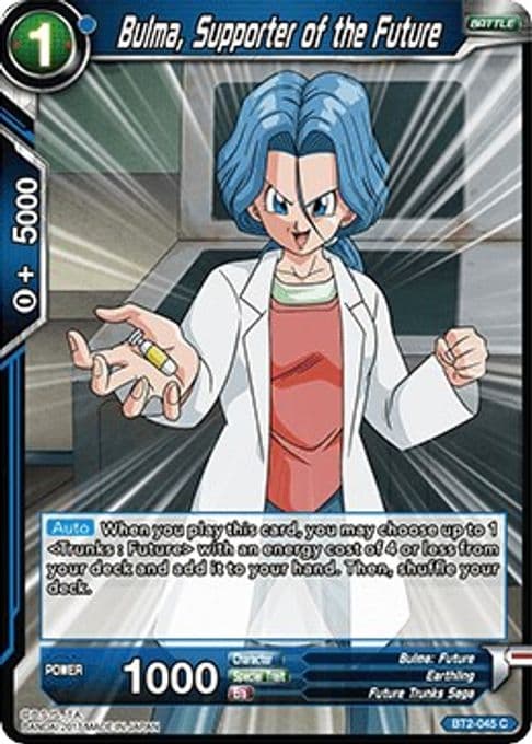 Bulma, Supporter of the Future