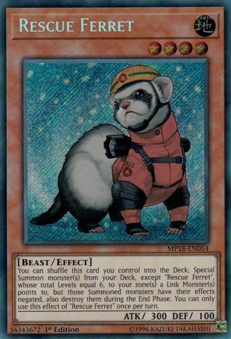 Rescue Ferret