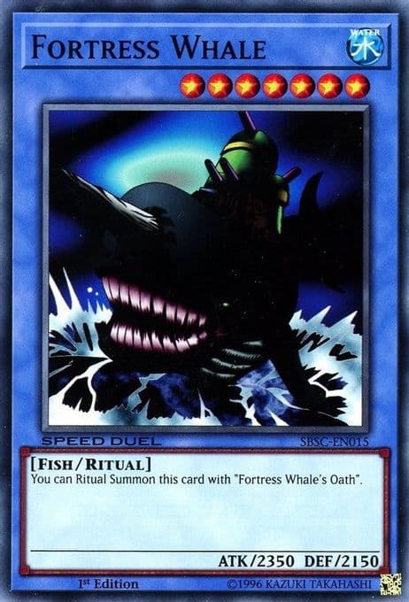 Fortress Whale