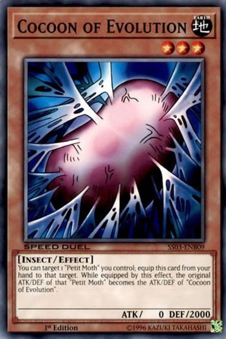 Cocoon of Evolution