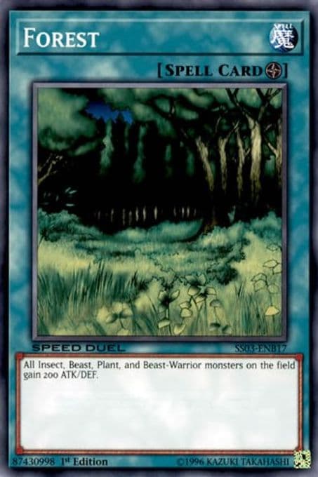 Forest