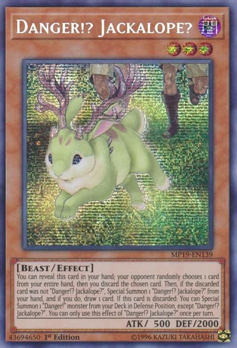 Danger!? Jackalope?