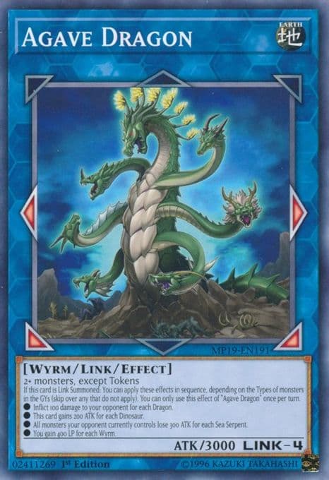Agave Dragon