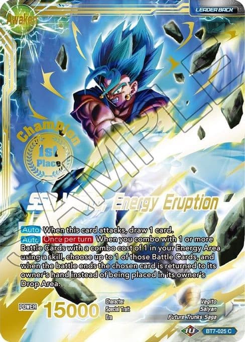 Son Goku & Vegeta // SSB Vegito, Energy Eruption (Championship Final 2019) (1st Place)