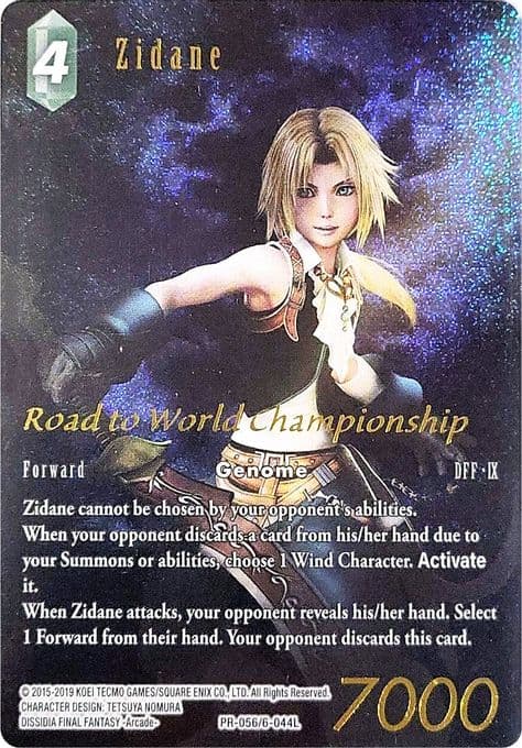 Zidane (Road to World Championship)