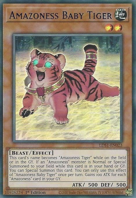 Amazoness Baby Tiger (Blue)