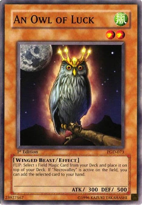 An Owl of Luck