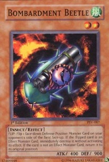 Bombardment Beetle