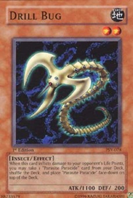 Drill Bug