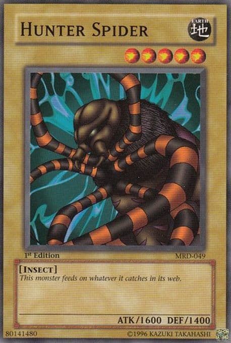 Hunter Spider