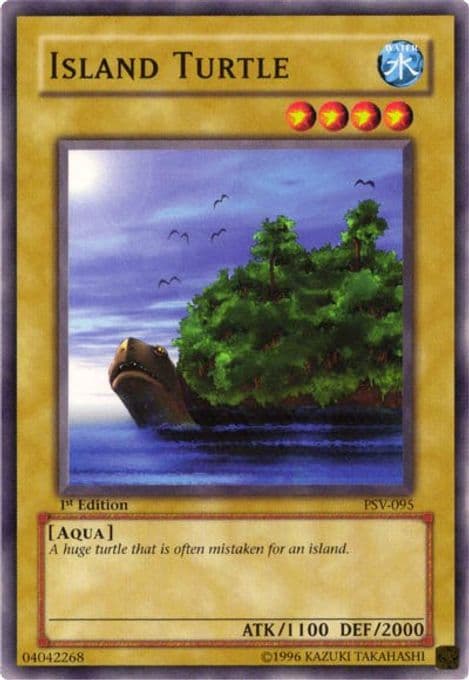 Island Turtle