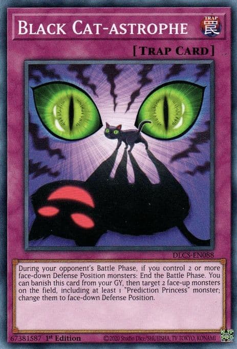 Black Cat-astrophe