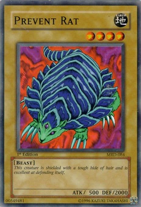 Prevent Rat