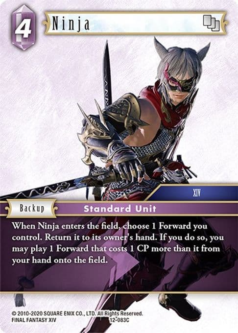 Ninja (XIV)