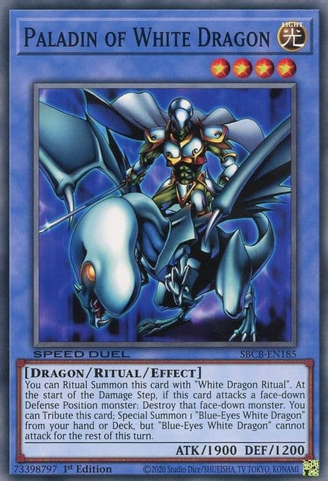 Paladin of White Dragon