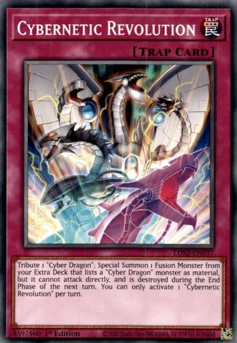 Cybernetic Revolution