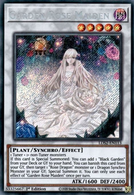 Garden Rose Maiden