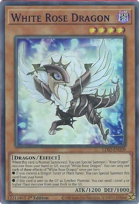 White Rose Dragon (Purple)