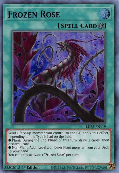 Frozen Rose (Blue)