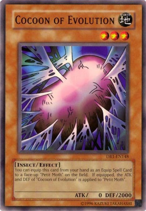 Cocoon of Evolution