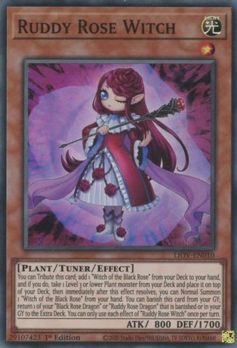 Ruddy Rose Witch