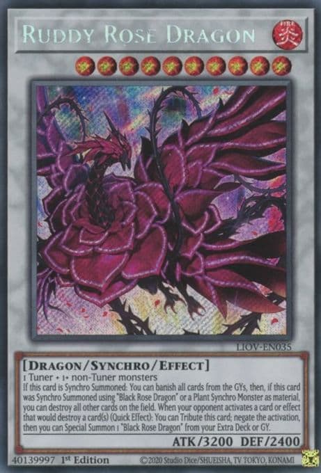 Ruddy Rose Dragon