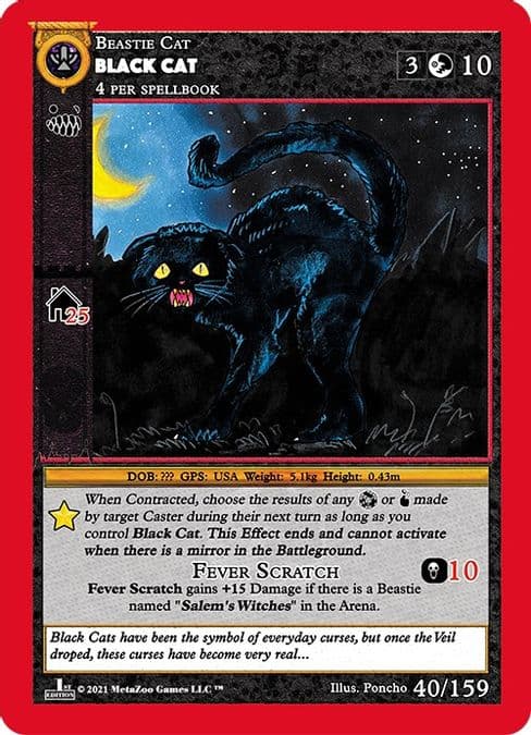Black Cat