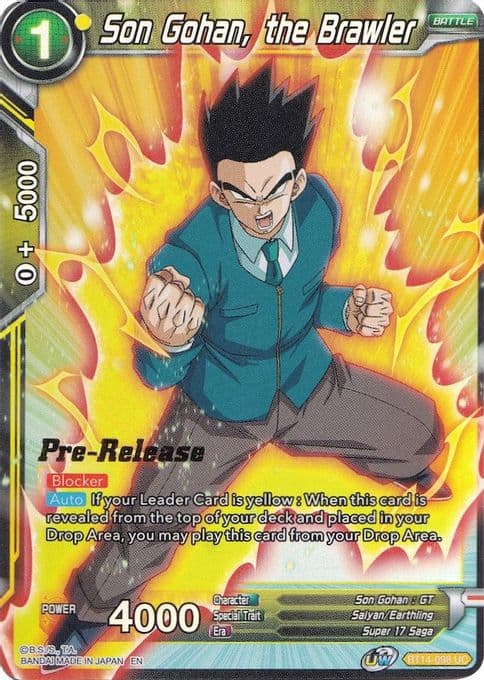 Son Gohan, the Brawler