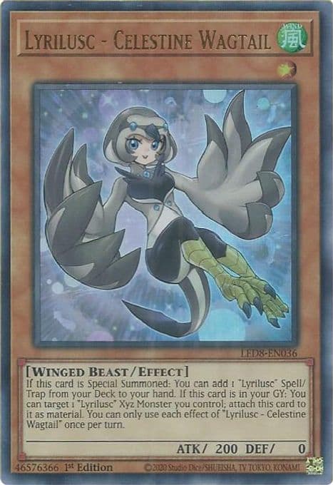 Lyrilusc - Celestine Wagtail