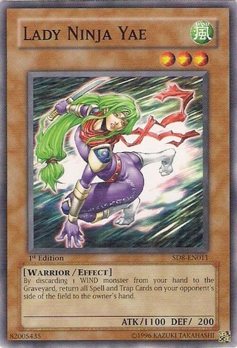 Lady Ninja Yae