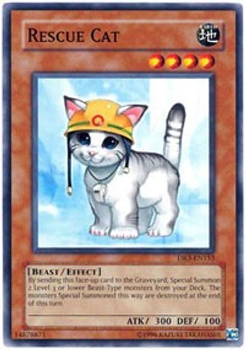 Rescue Cat