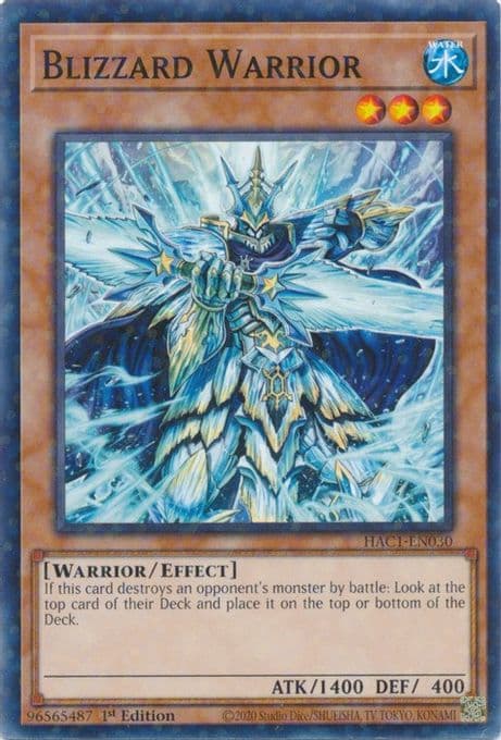Blizzard Warrior (Duel Terminal)