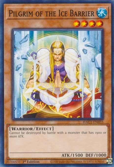 Pilgrim of the Ice Barrier