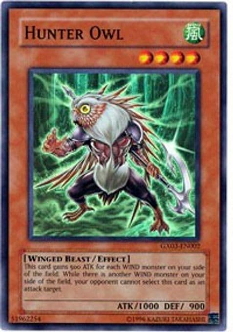 Hunter Owl