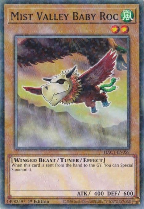 Mist Valley Baby Roc (Duel Terminal)