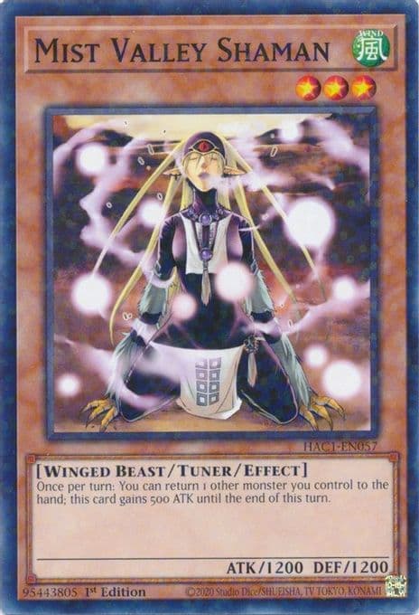 Mist Valley Shaman (Duel Terminal)