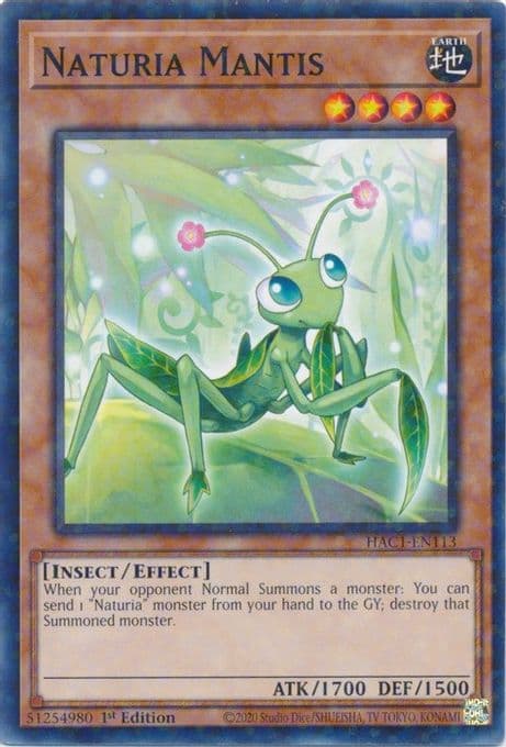 Naturia Mantis (Duel Terminal)