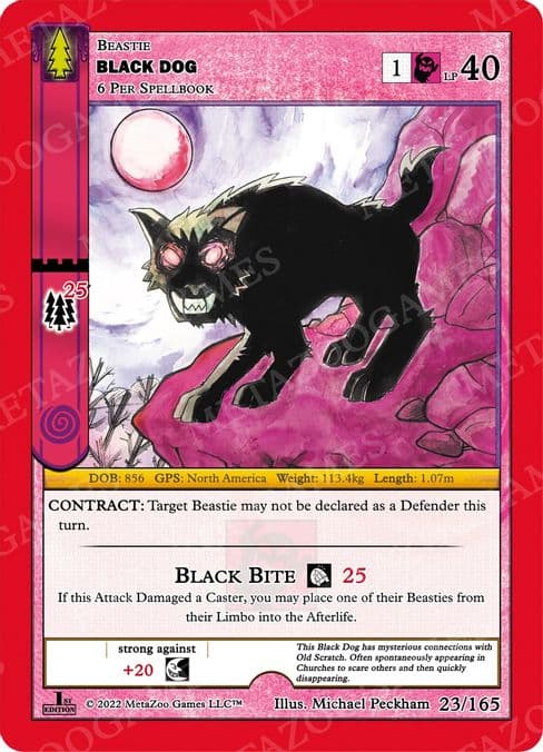 Black Dog