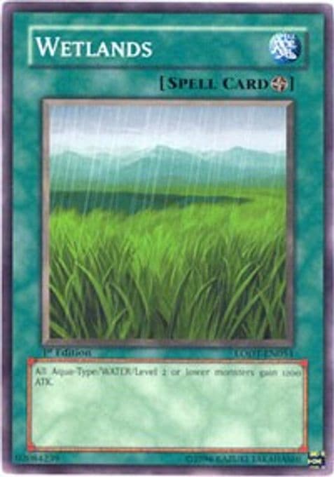 Wetlands