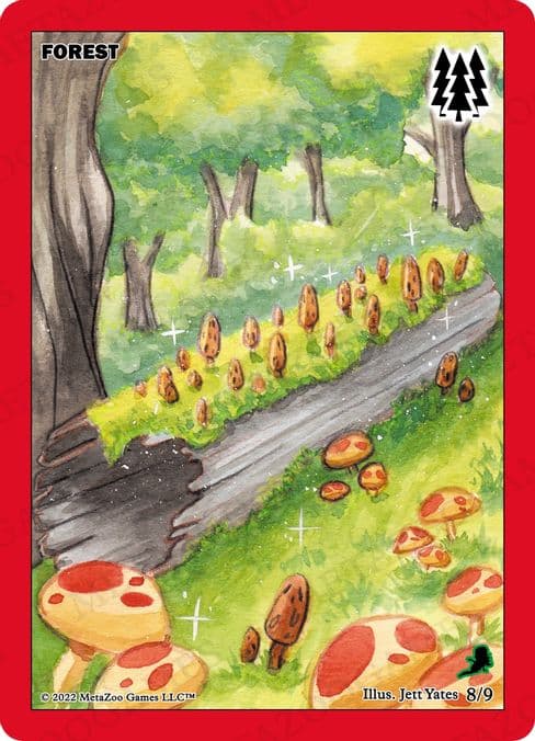 Forest