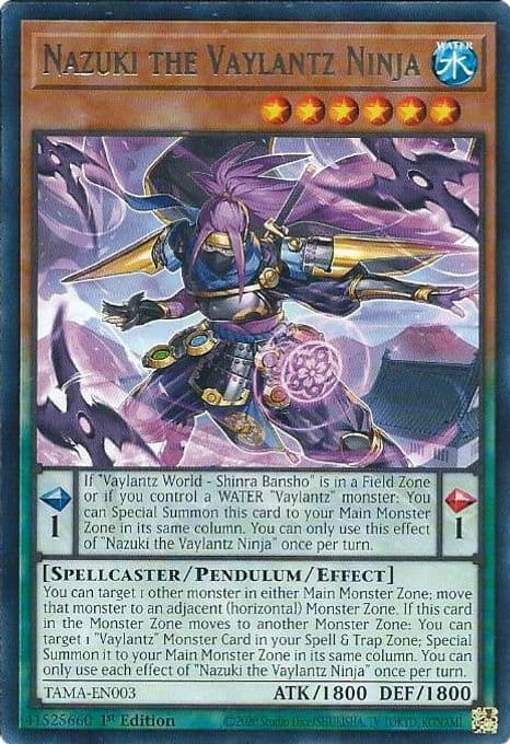 Nazuki the Vaylantz Ninja